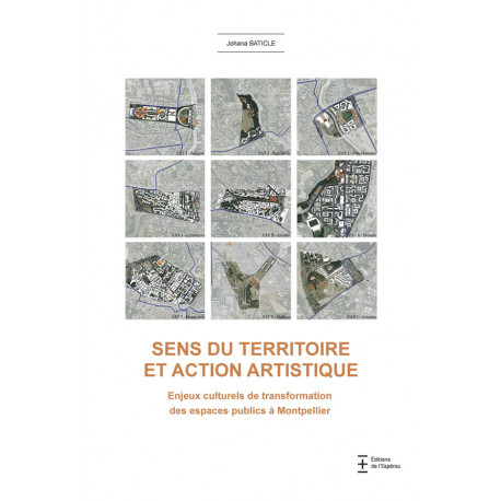 Sens du territoire et action artistique
